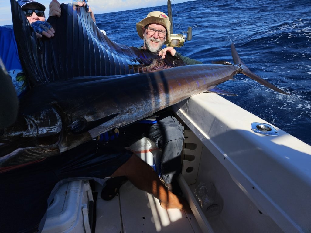 sailfish trophy image