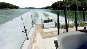 IMG_20251016_190650_1