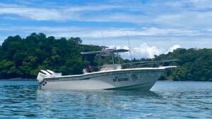 IMG_20251021_120143_1