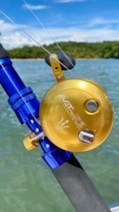 IMG_20251021_141202_1