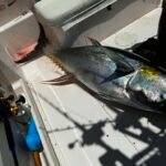 Large fish on the white boat deck beside a padded bench, with water droplets and fishing gear nearby.