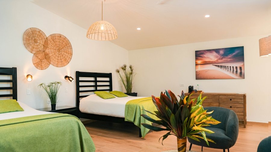 Hotel room with two twin beds, green throws, wicker wall decor, and potted plants on the side.
