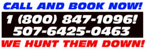 Ad banner prompting viewers to call and book, featuring numbers 1-800-847-1096 and 507-6425-0463 with a red slogan 'WE HUNT THEM DOWN!'
