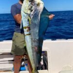 Man on a boat holding a large silver-blue marlin/sailfish with yellow accents against a deep blue ocean backdrop
